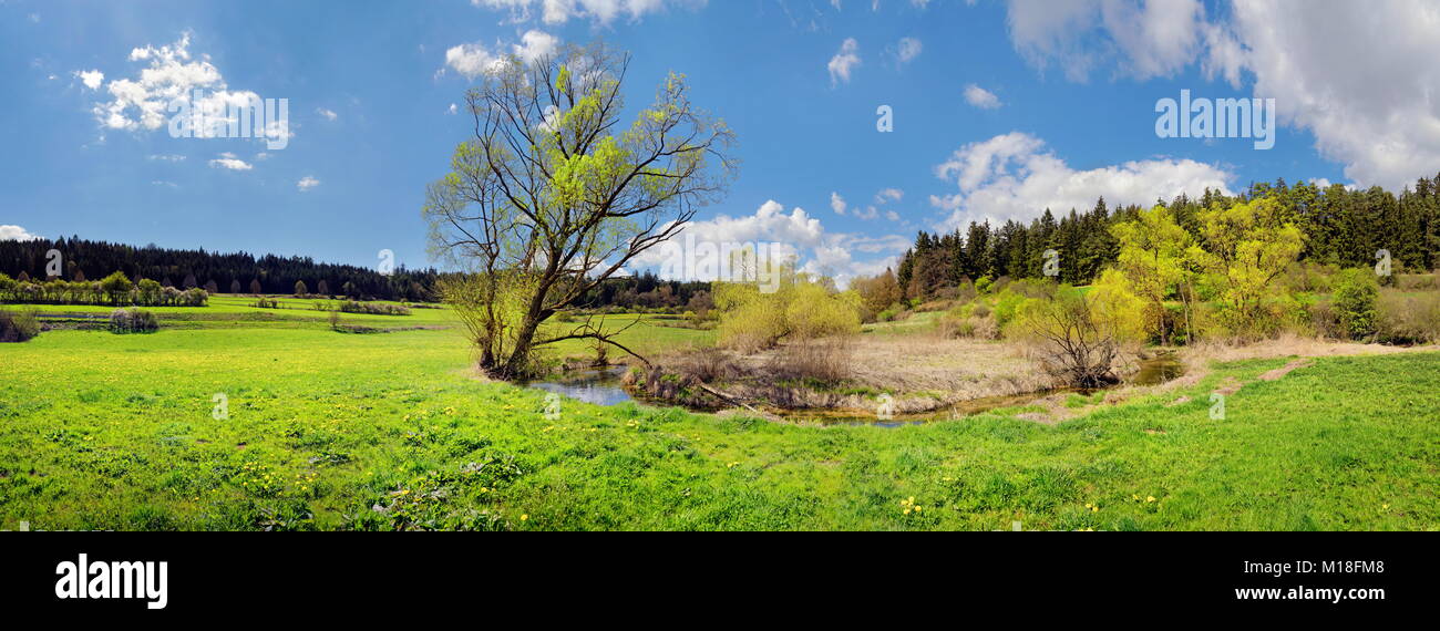 Spring at the idyllic brook and biotope Morsbach,Emsing,Titting,nature park Park Altmühltal,Bavaria,Germany Stock Photo