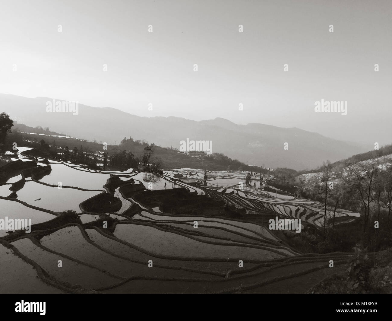 Panoramic view of Yuanyang rice terraces at the sunset (Yunnan, China) Stock Photo