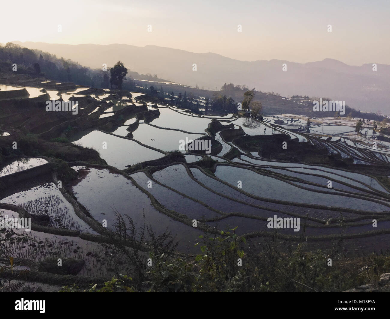 Panoramic view of Yuanyang rice terraces at the sunset (Yunnan, China) Stock Photo