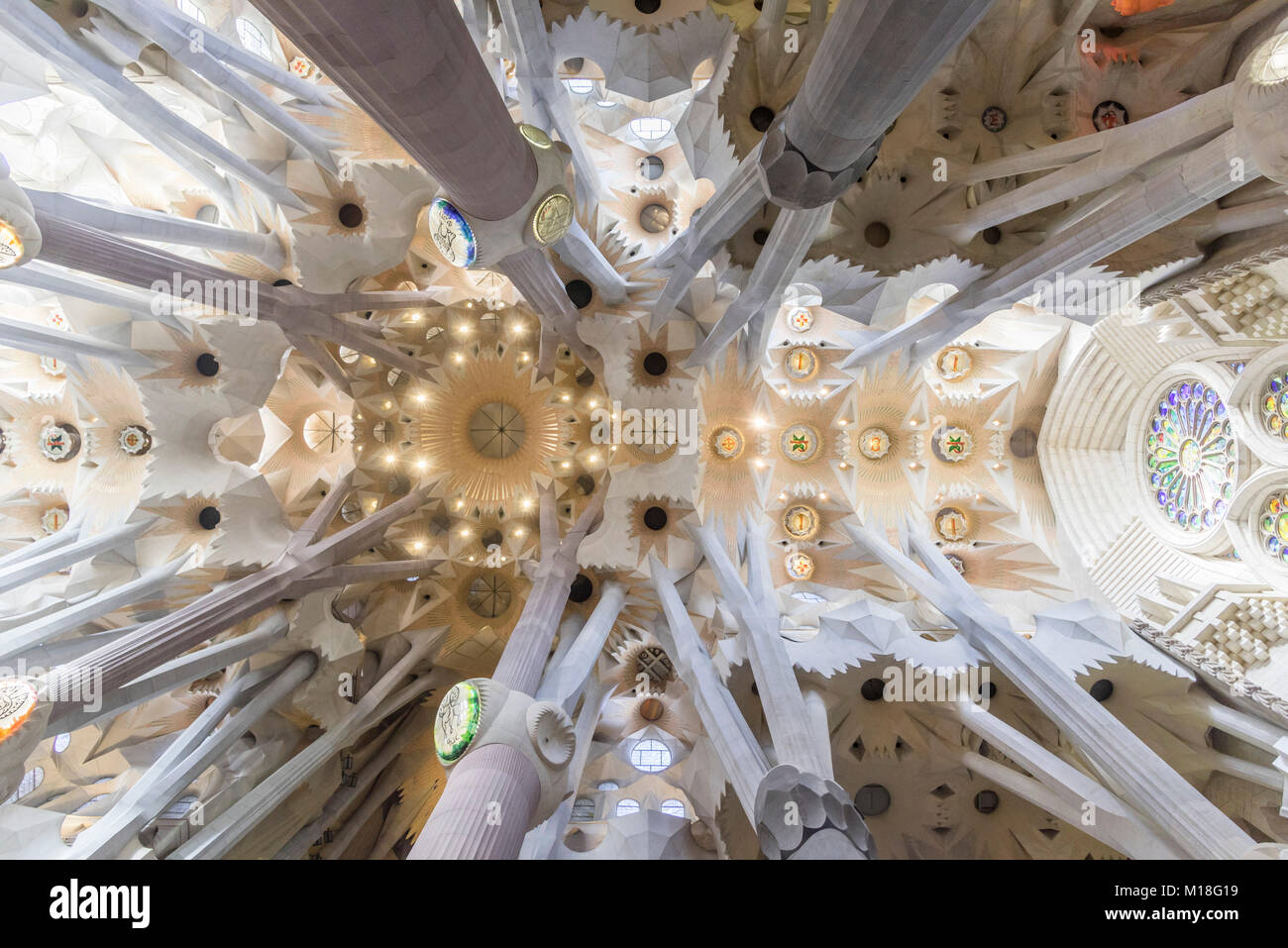 Sagrada familia ceiling hi-res stock photography and images - Alamy