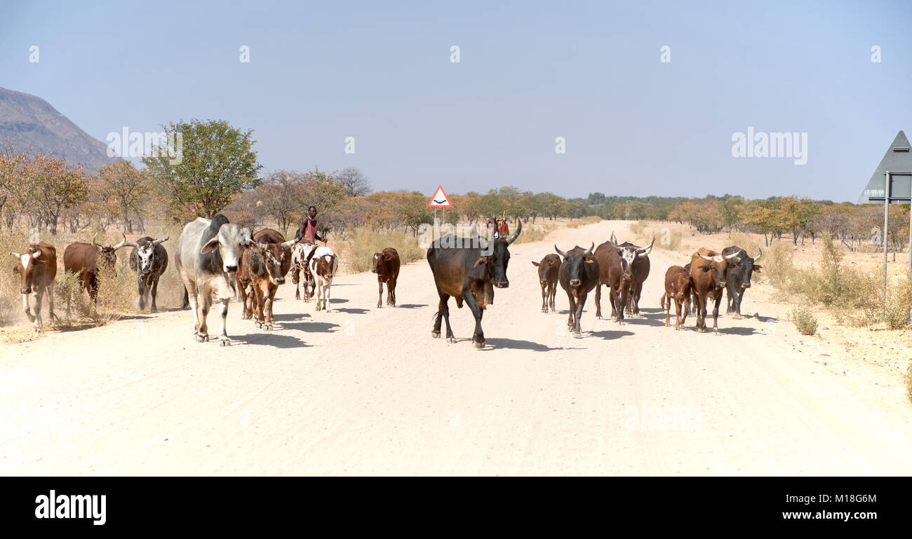 Himba men hi-res stock photography and images - Alamy
