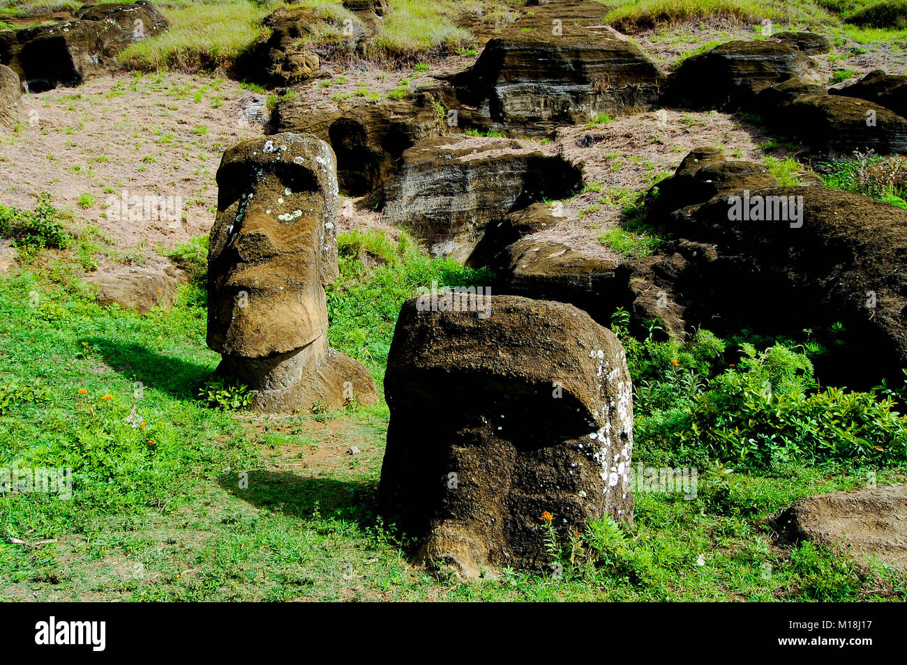 Rano Raraku Moais - Easter Island Stock Photo - Alamy