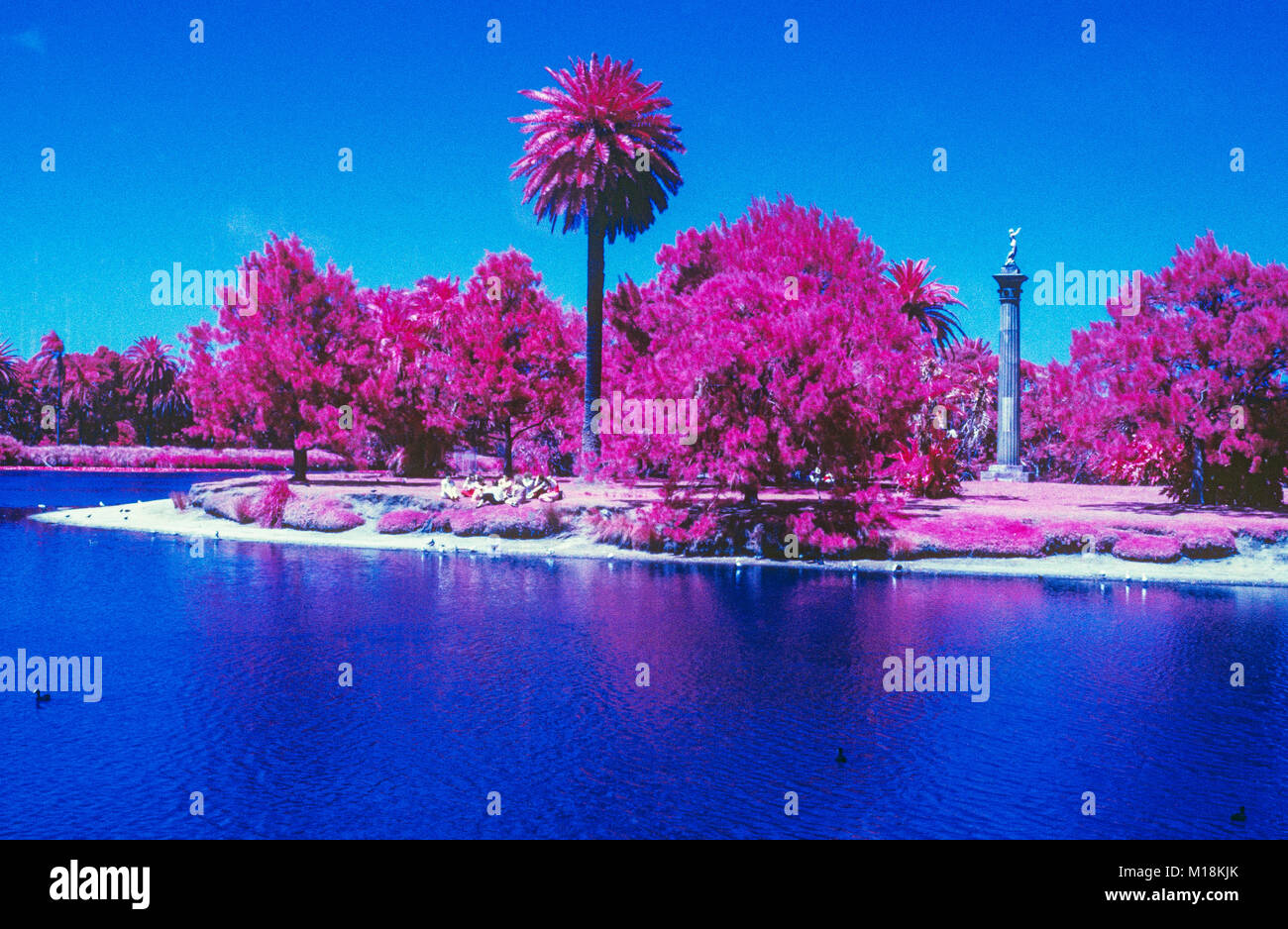 Kodak ektachrome infrared hires stock photography and images Alamy