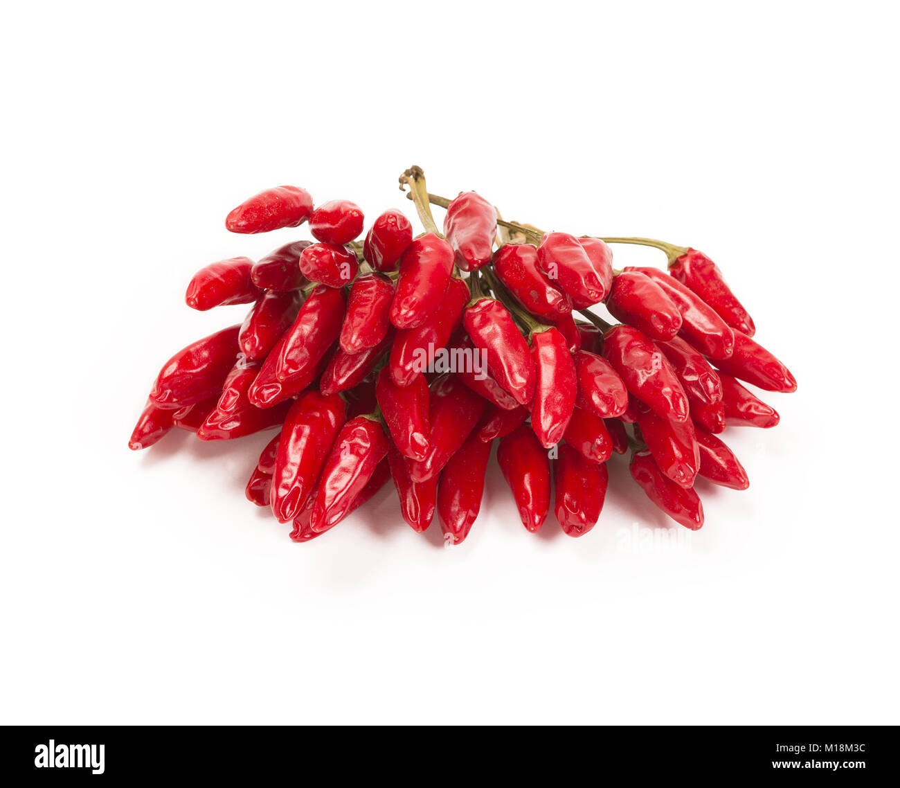 red hot chili pepper isolated on a white background Stock Photo