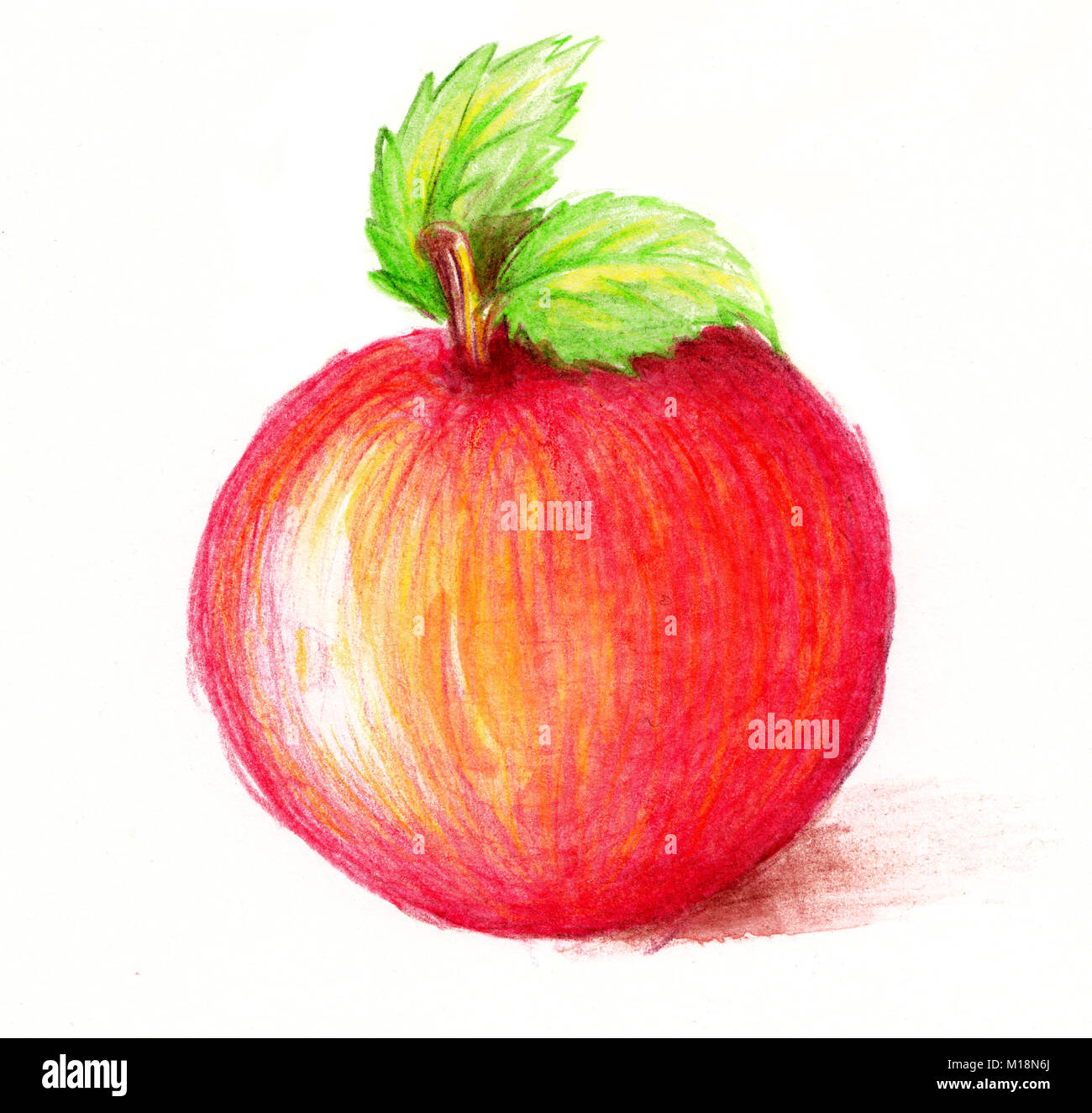Drawing of apple. Watercolor and pencil art. Bright colors, over white Stock Photo