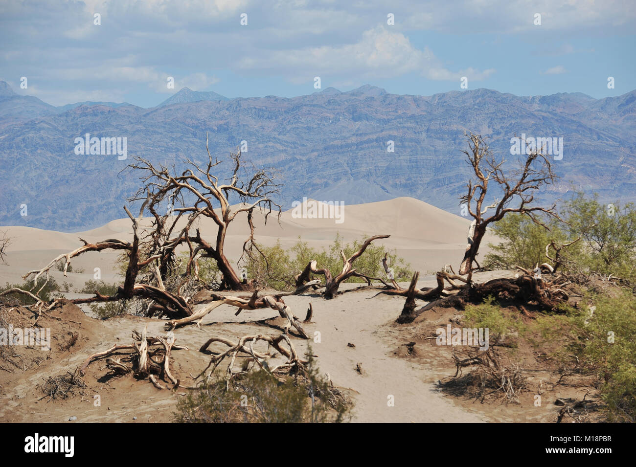 Death valley landscape hi-res stock photography and images - Alamy