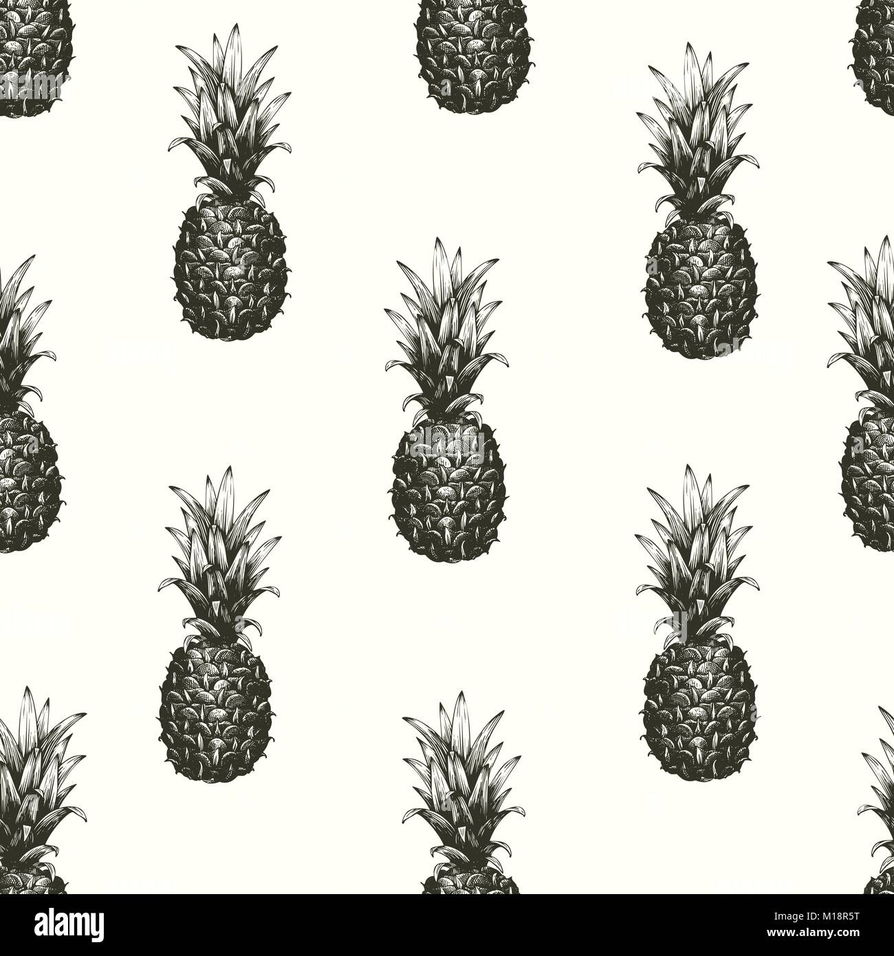 Vector hand drawn seamless pattern with pineapple. Tropical summer ...