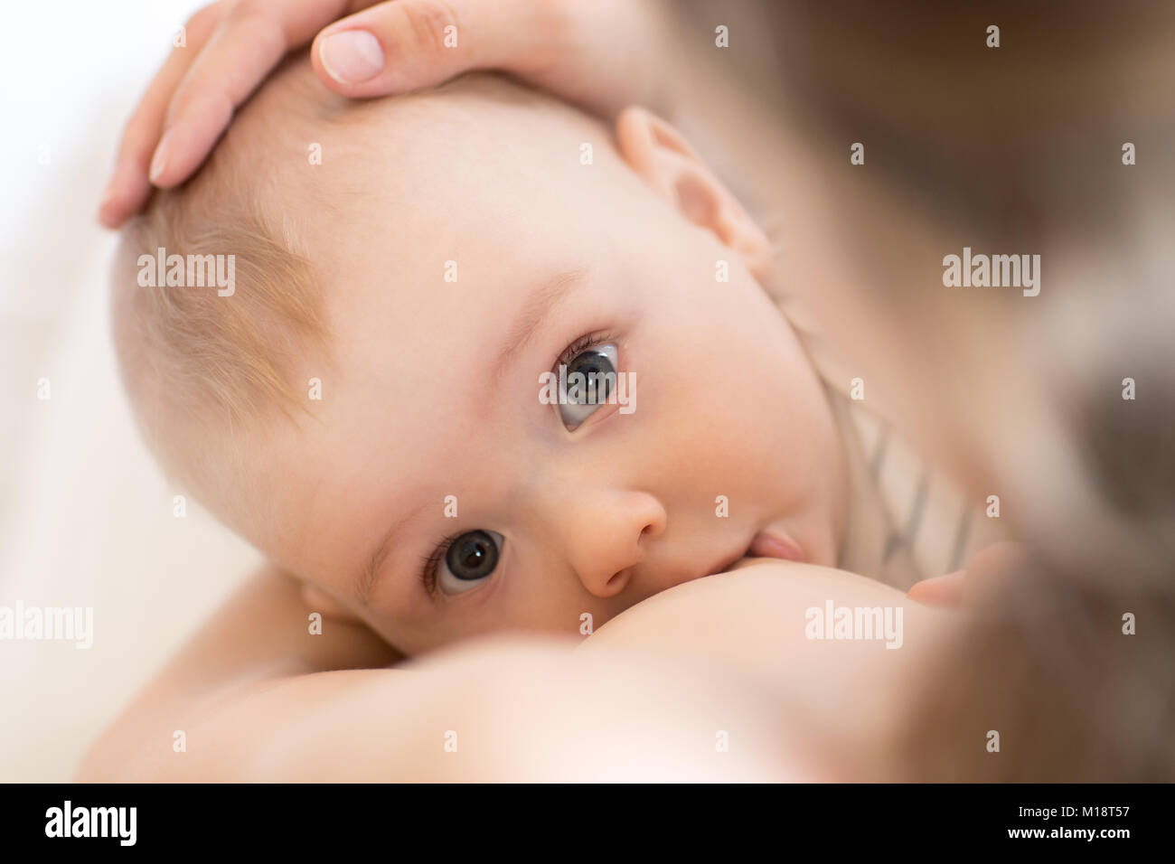 Mother breast feeding her little boy. Mom nursing and feeding baby