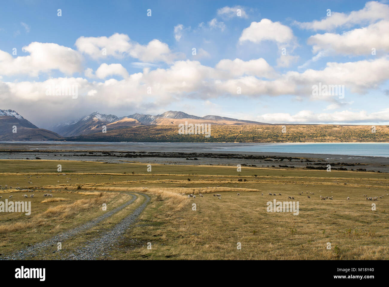 The Tasman river valley looking towards Lake Pukaki in the extreme horizon, New Zealand Stock Photo