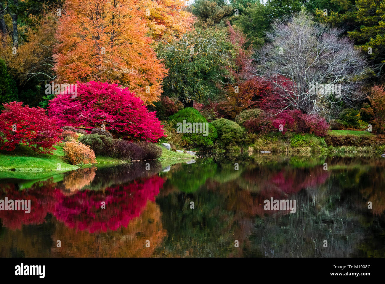 Asticou Azalea Garden Northeast Harbor Maine Usa Stock Photo