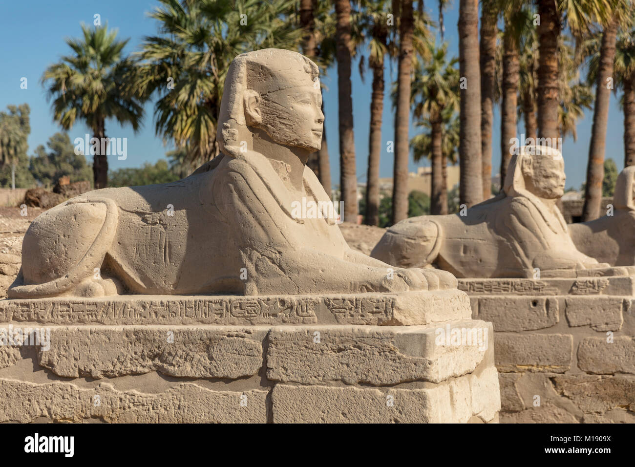 Luxor Temple, Luxor, Egypt Stock Photo