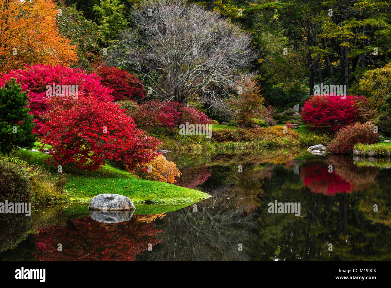 Asticou Azalea Garden Northeast Harbor Maine Usa Stock Photo Alamy
