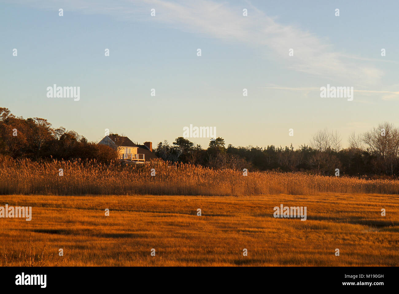 Grays beach hires stock photography and images Alamy