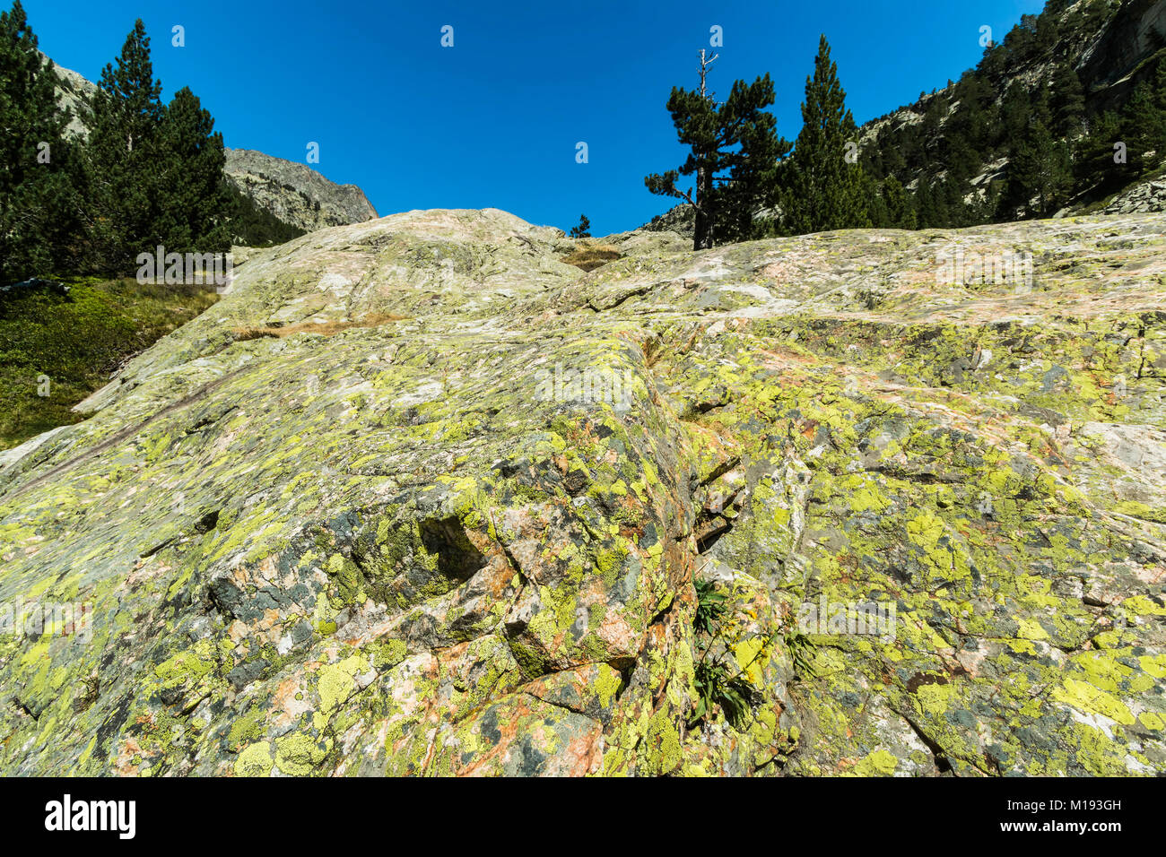 Lichen on granite rock face of the Palaeozoic magmatic batholith north of Banos de Panticosa. Panticosa, Pyrenees; Huesca Province; Spain Stock Photo