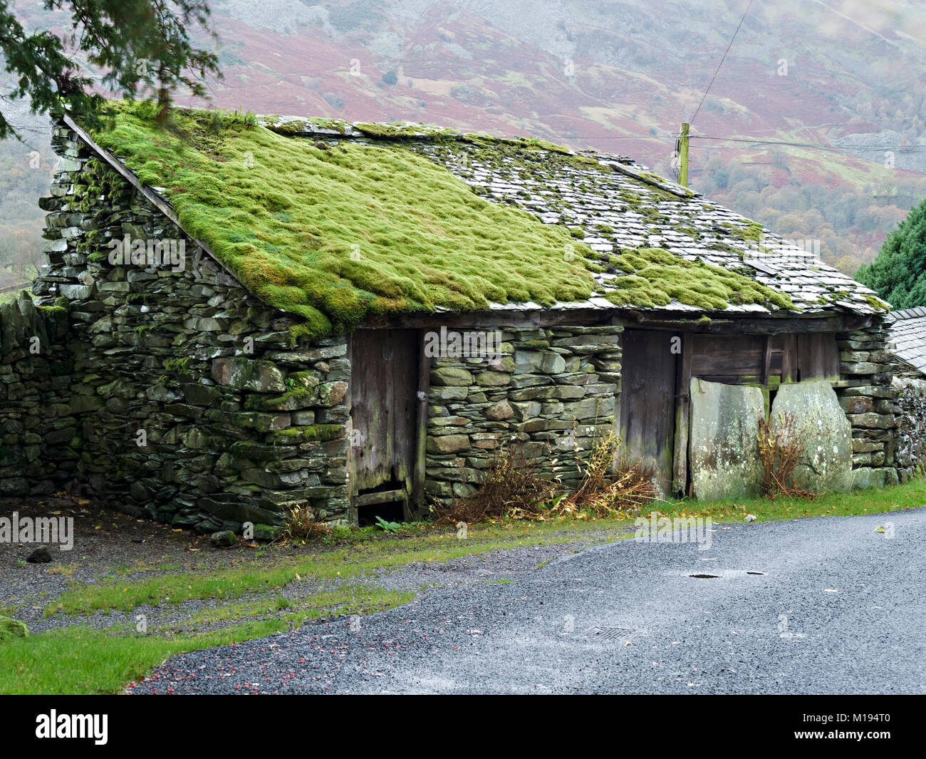 Old dilapidated rustic slate stone outbuilding with green moss covered roof, Chapel Stile, Langdale, Cumbria, England, UK Stock Photo