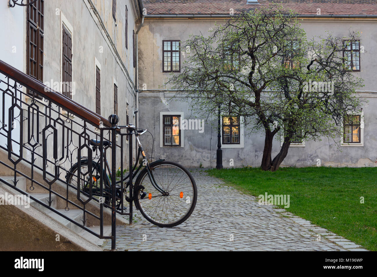 Bicycle in stone built-up historic area, lonely tree on green lawn Stock Photo
