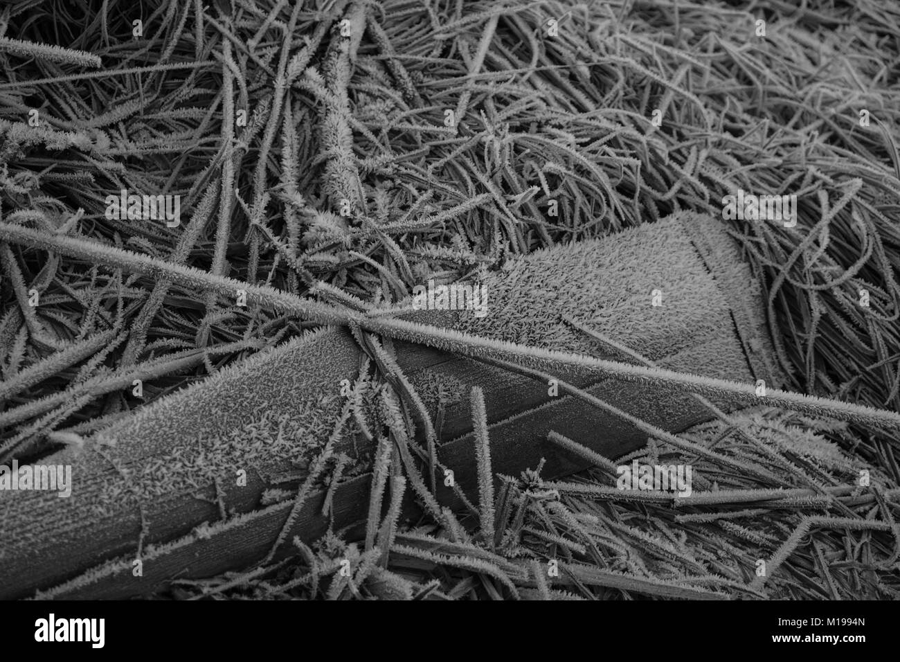 A frosty morning in Amberley  West Sussex Stock Photo