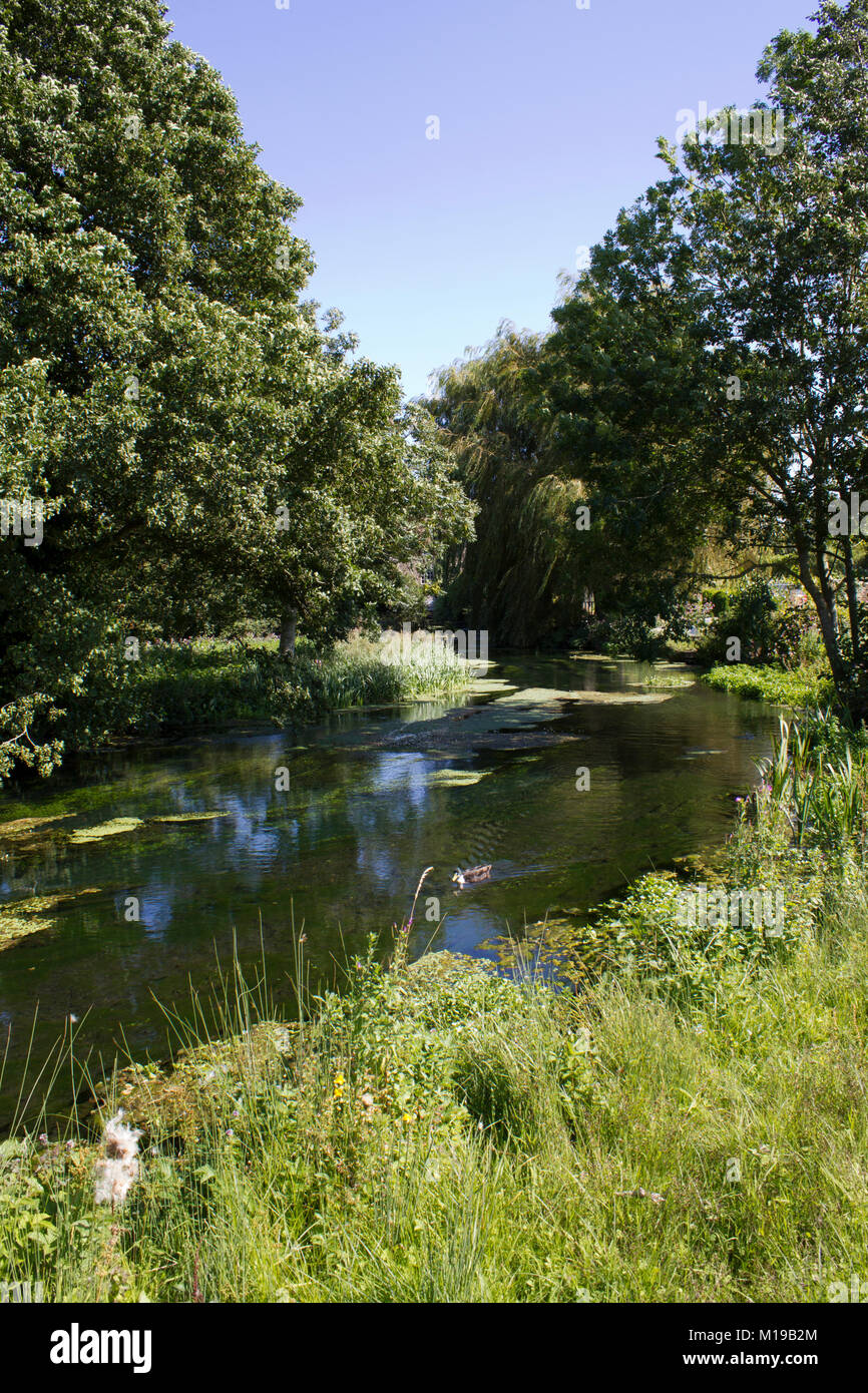 Ampney Brook in summer sunshine, an idyllic stream in The Cotswolds near Cirencester