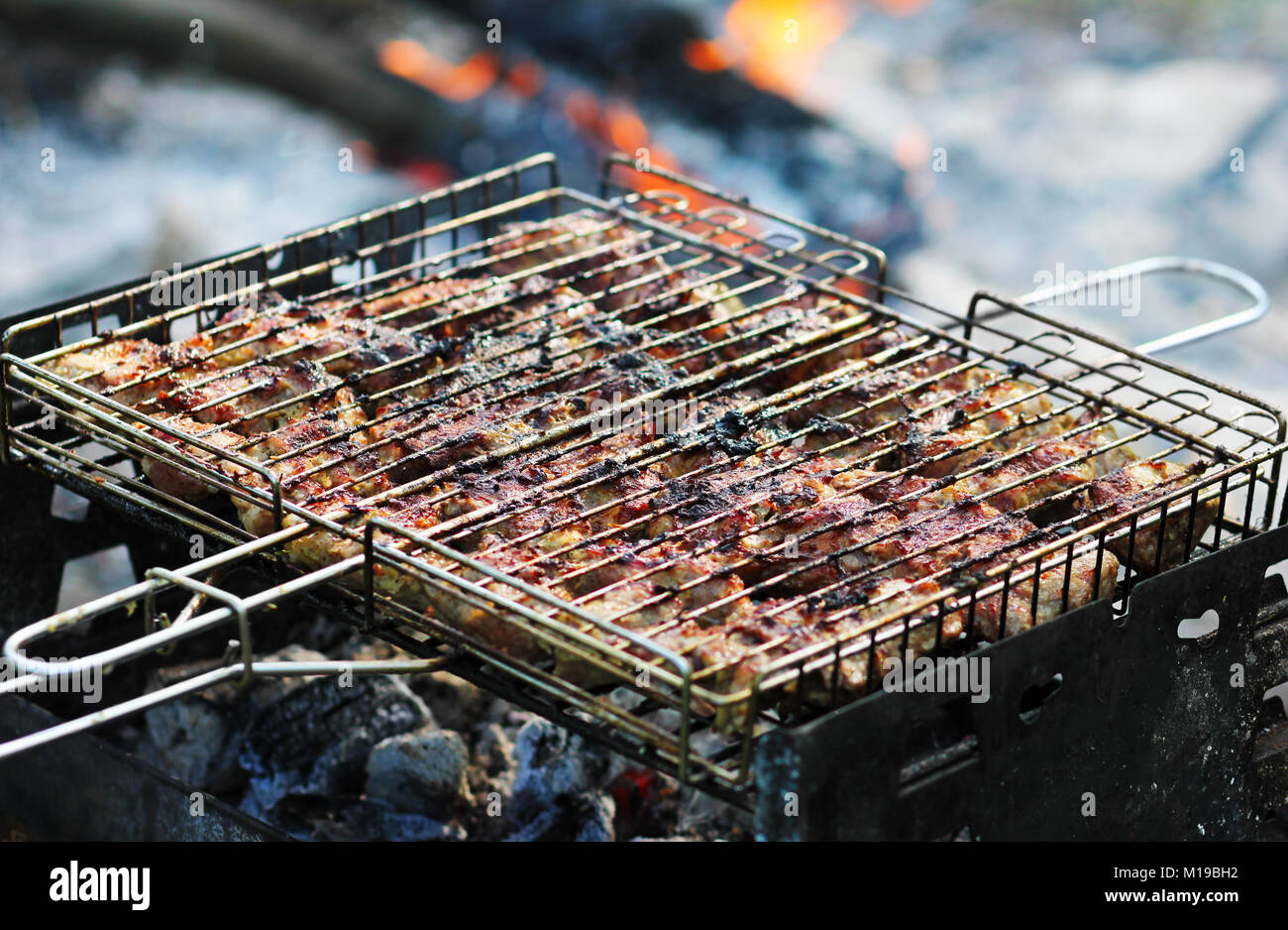 Meat, roasted over an open fire, barbecue, picnic outdoors. Stock Photo