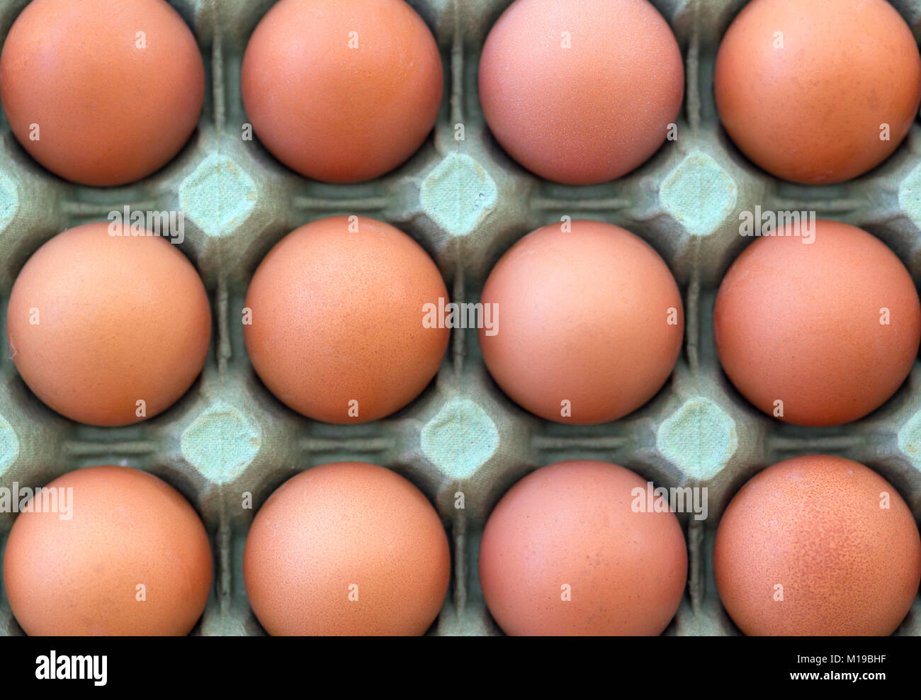 A tray of fresh free range eggs. Shallow depth of field. Stock Photo