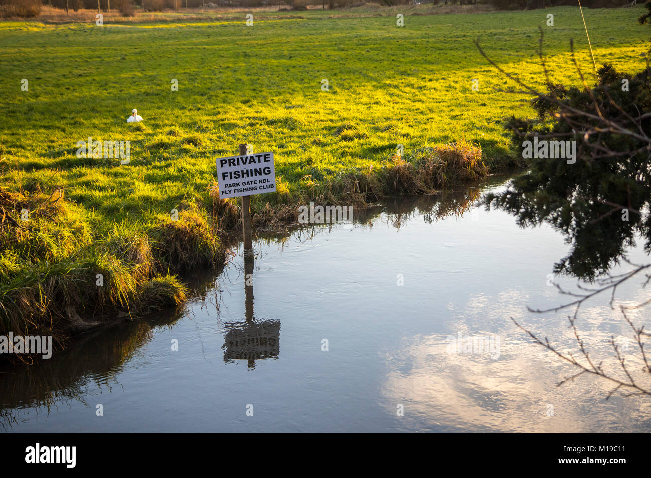 Nature reserve tichfield hi-res stock photography and images - Alamy