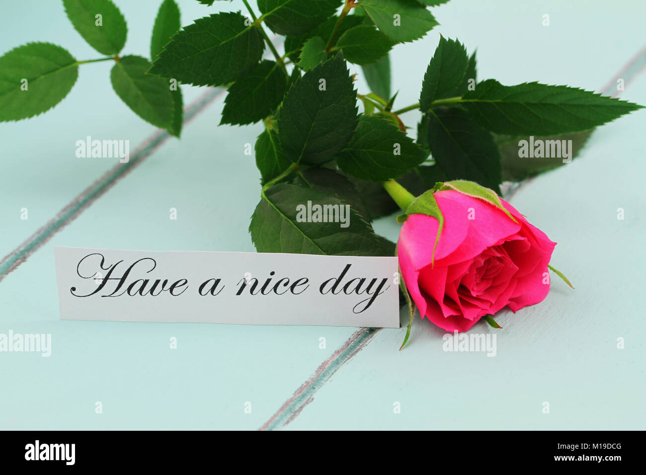 Have a nice day card with one pink wild rose on wooden tray Stock ...