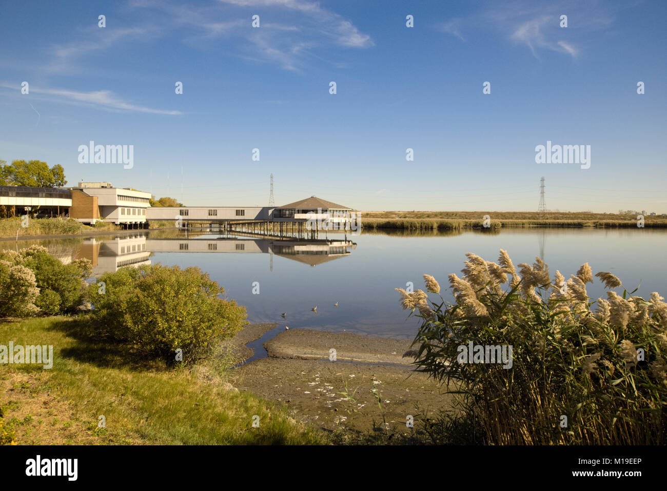 Salon de actividades hires stock photography and images Alamy