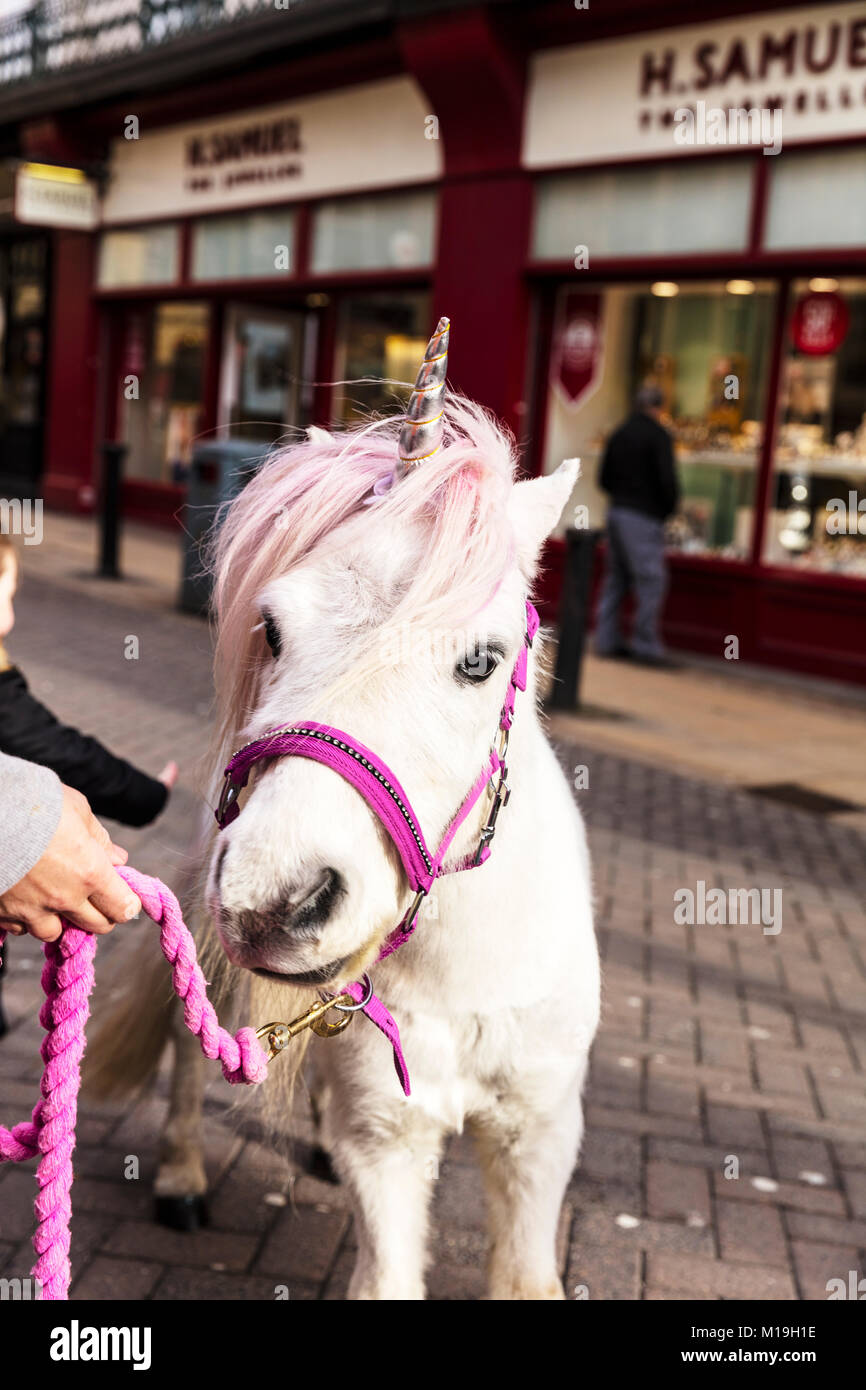 Lincoln, UK. 28th Jan 2018. Unicorn on the streets of Lincoln city, Lincolnshire, UK, on 28/01/18 cute unicorn pony complete with horn on Lincoln high street. Credit: Iconic Cornwall/Alamy Live News Stock Photo
