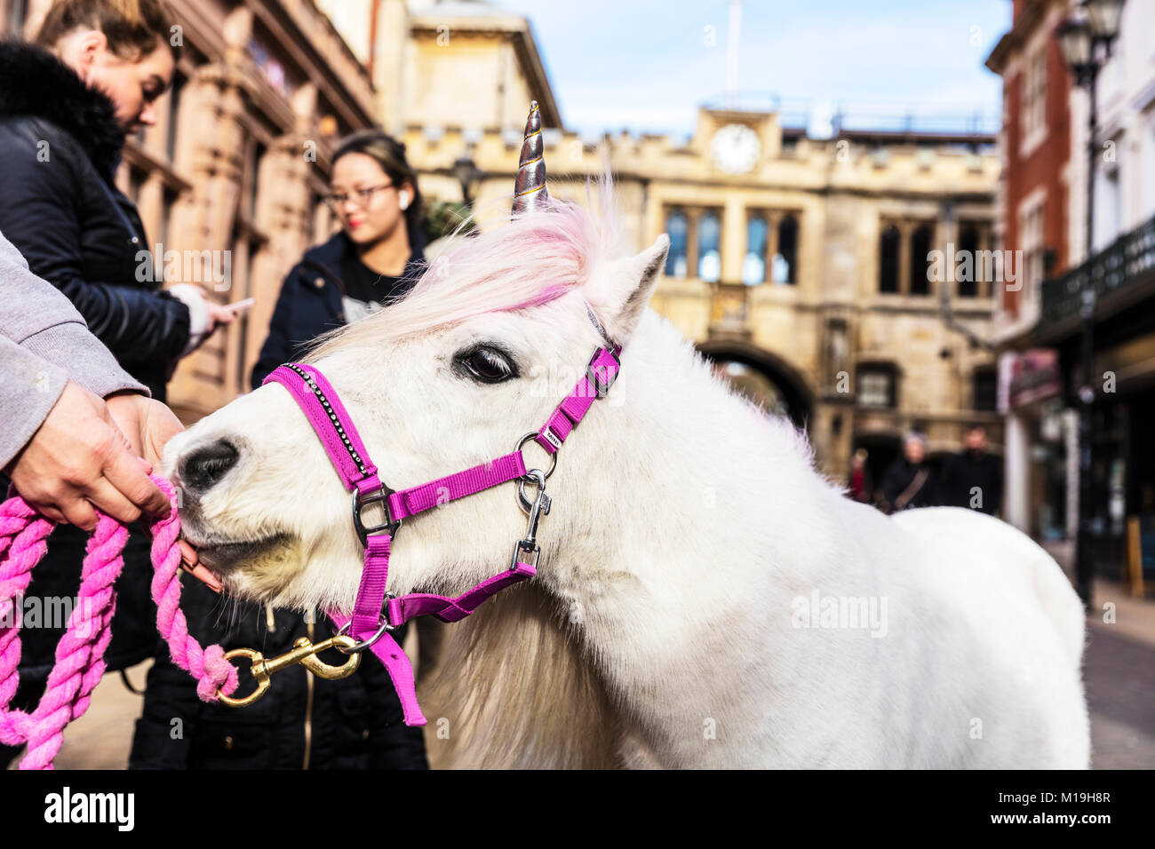 Lincoln, UK. 28th Jan 2018. Unicorn on the streets of Lincoln city, Lincolnshire, UK, on 28/01/18 cute unicorn pony complete with horn on Lincoln high street. Credit: Iconic Cornwall/Alamy Live News Stock Photo