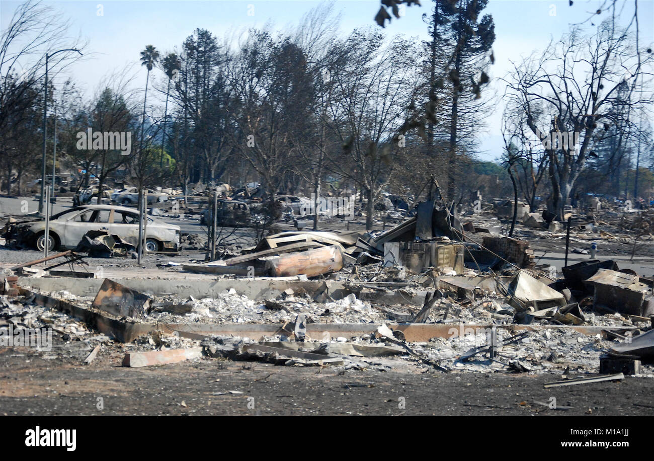 burned Santa Rosa Island landscape Evacuations and Safety Measures