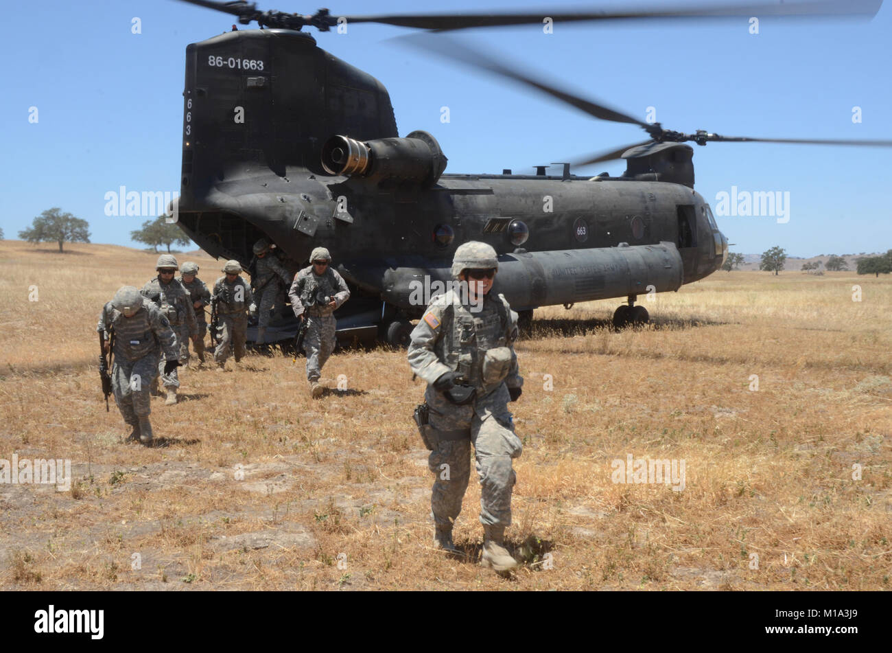 The California Army National Guard 40th Brigade Support Battalion ...