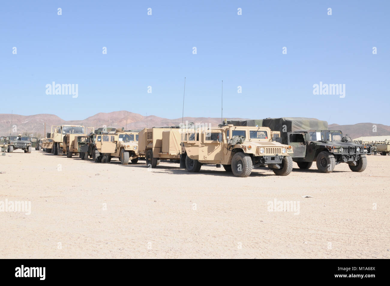 1 184 infantry hi-res stock photography and images - Alamy