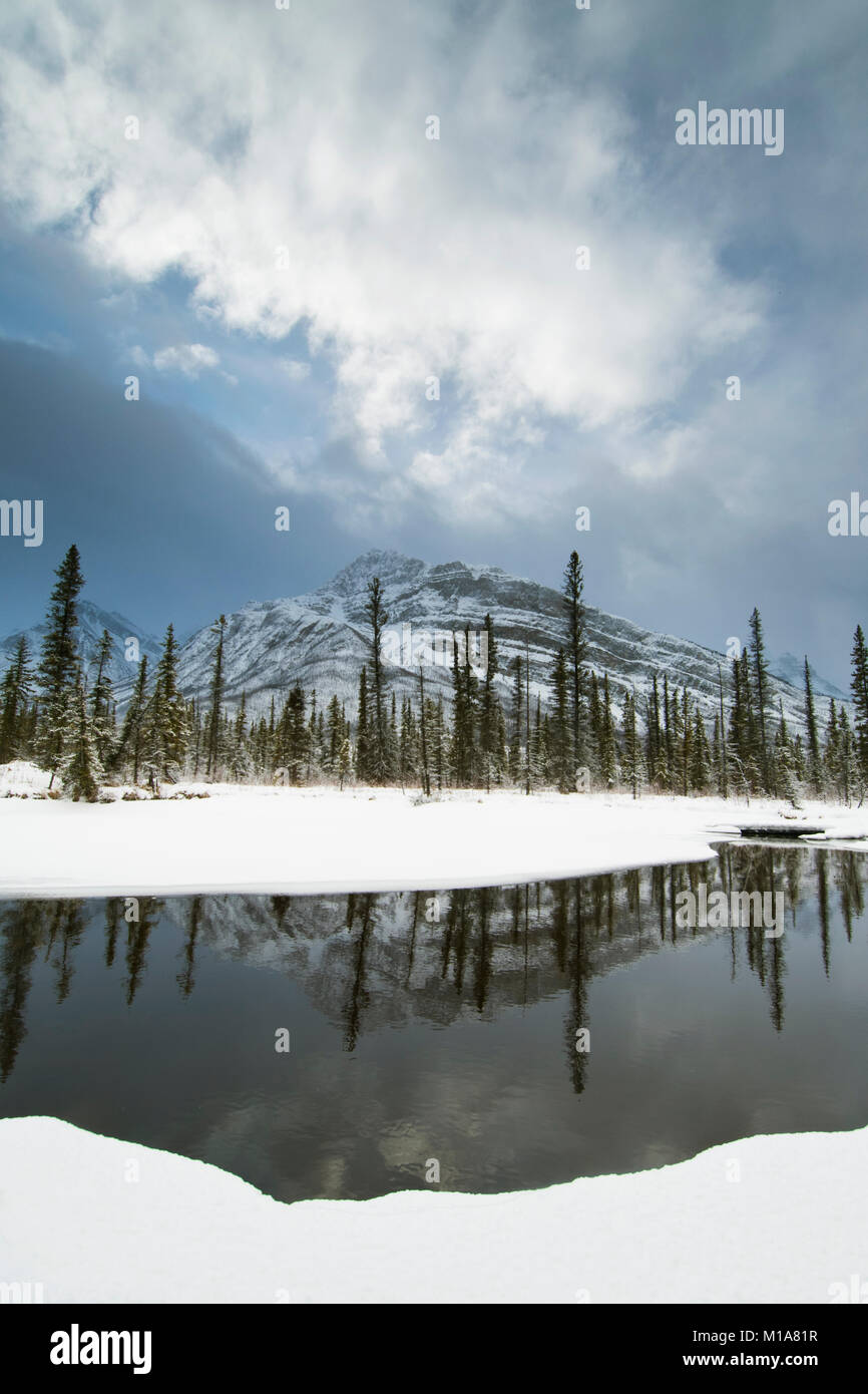 Winter reflections, Saskatchewan River valley, Canadian Rockies, Alberta, CANADA Stock Photo