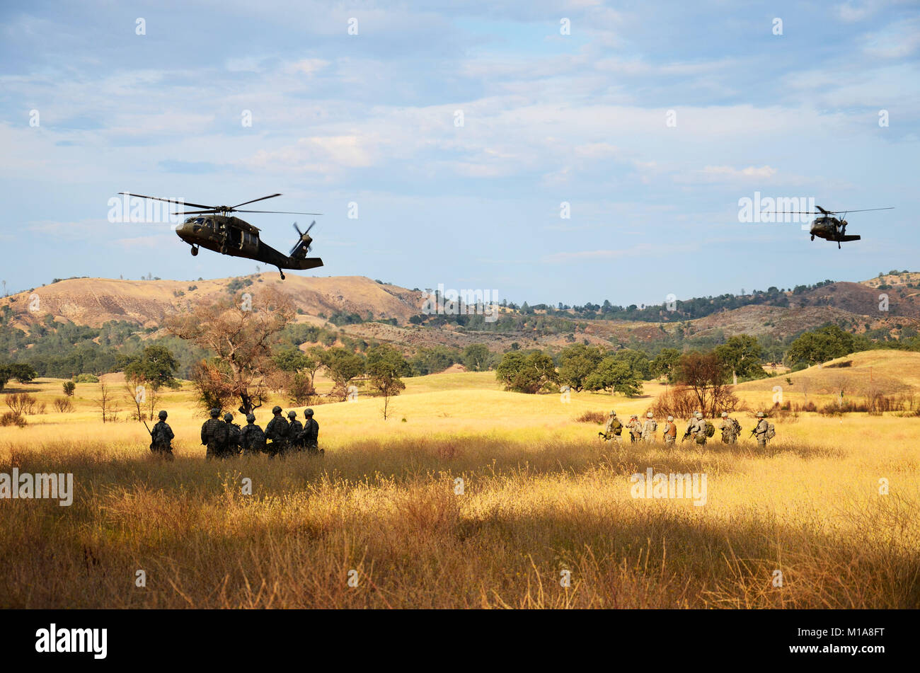 UH-60 Blackhawk helicopters approach a landing zone to pick up California Army National Guard Soldiers from 1st Battalion, 184th Infantry Regiment, during the battalion’s air assault training at Fort Hunter Liggett, July 22, 2013. The 184th conducted the air assault training during their regular annual training for the year. (U.S. Army National Guard photo/Sgt. Ian M. Kummer/Released) Stock Photo