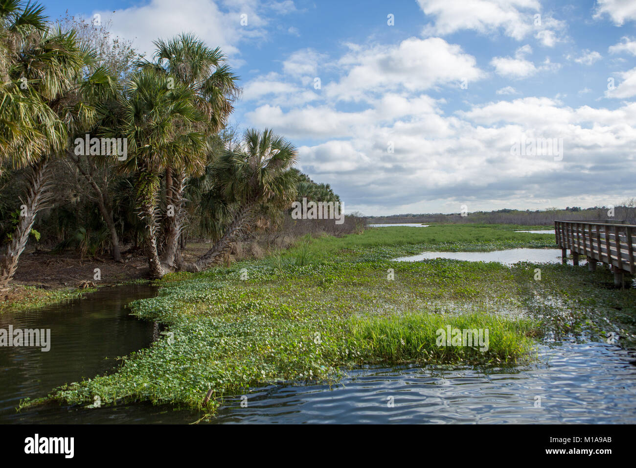 Gemini Springs Park, DeBary, Florida Stock Photo Alamy