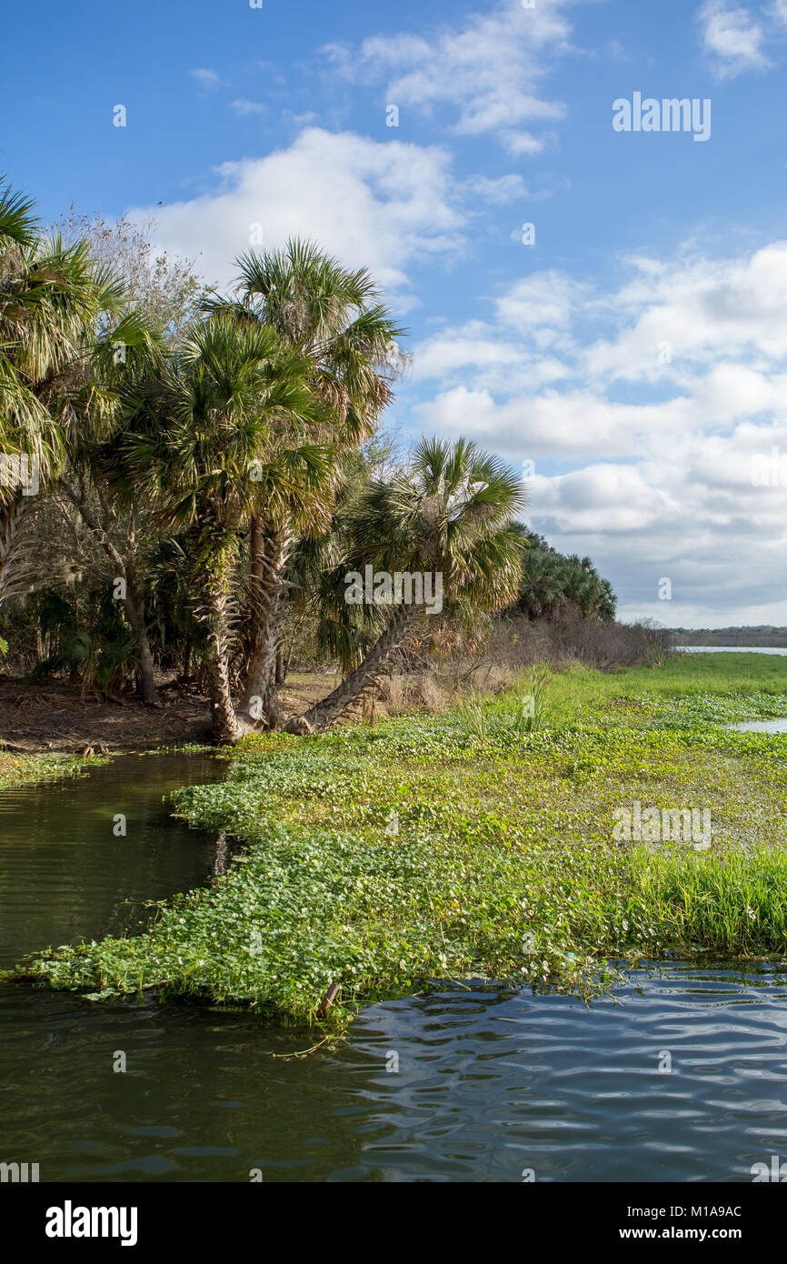 Gemini Springs Park, DeBary, Florida Stock Photo Alamy