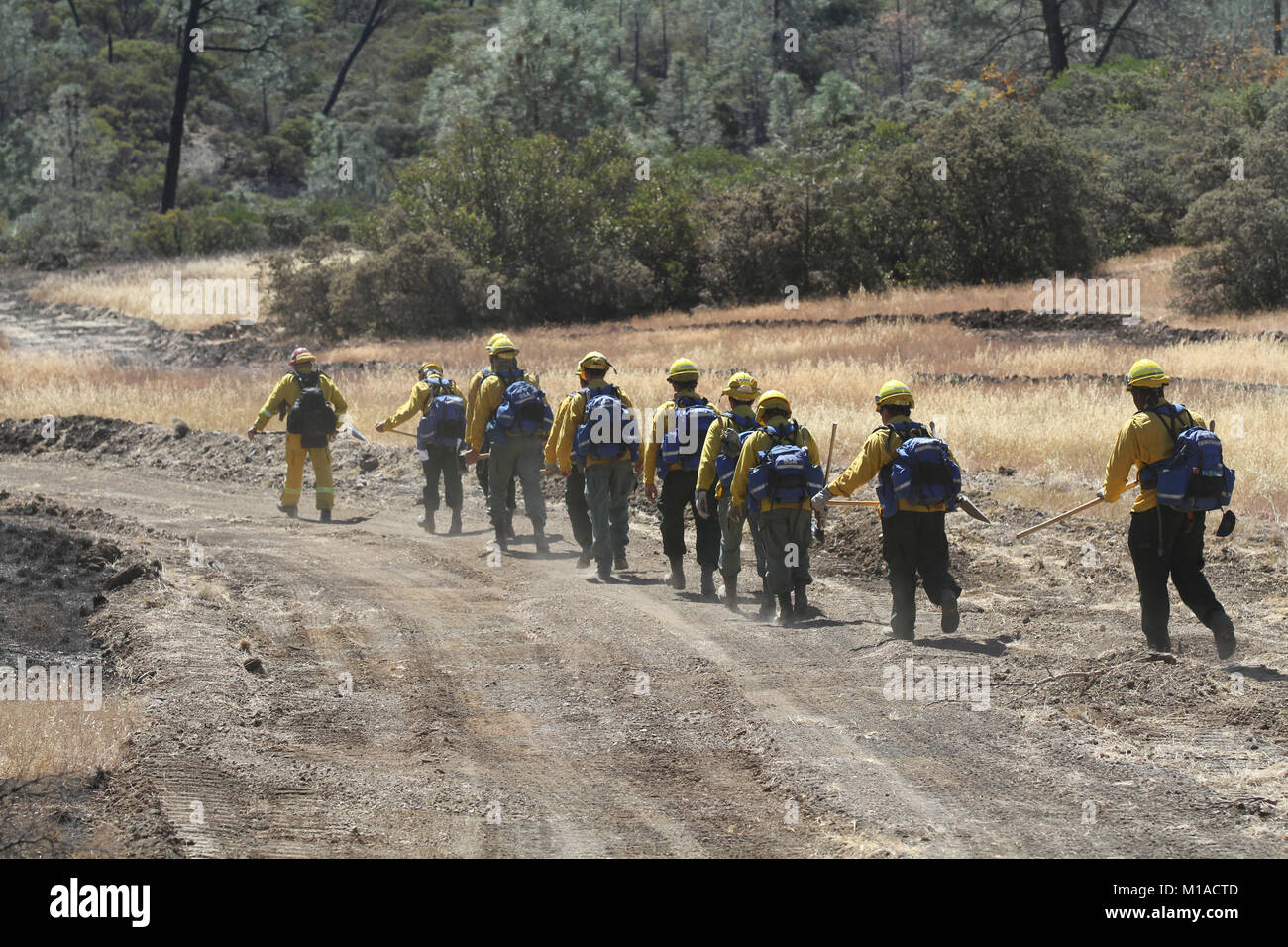 Members of Crew 10, Task Force Charlie, California Army National Guard, walk to their mop up site Aug. 14 near Clearlake, California,  during the Jerusalem Fire in Northern California. (U.S. Army National Guard photo/Staff Sgt. Eddie Siguenza) Stock Photo