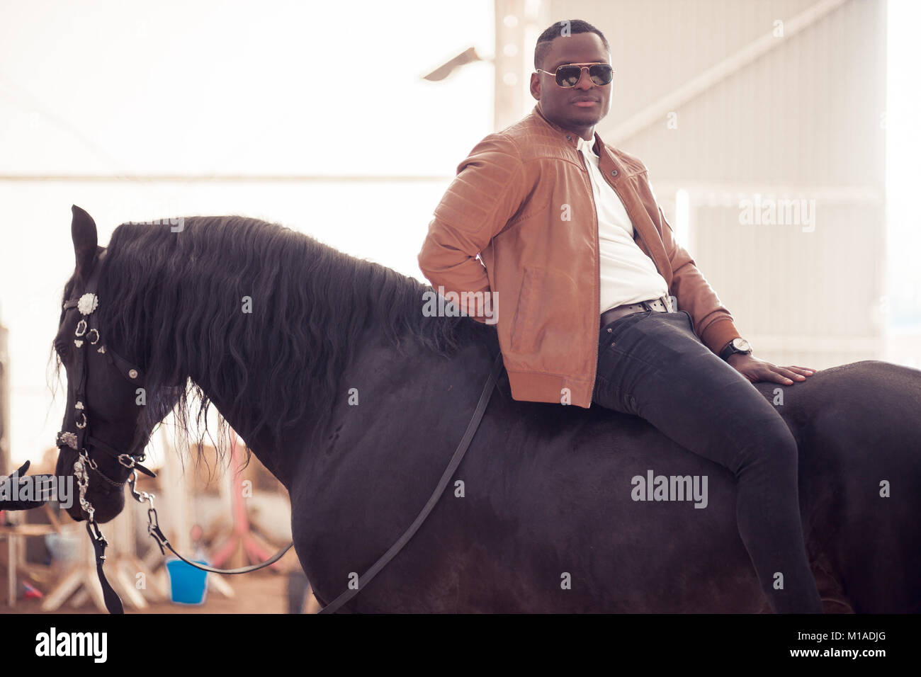man riding brown horse on countryside Stock Photo - Alamy
