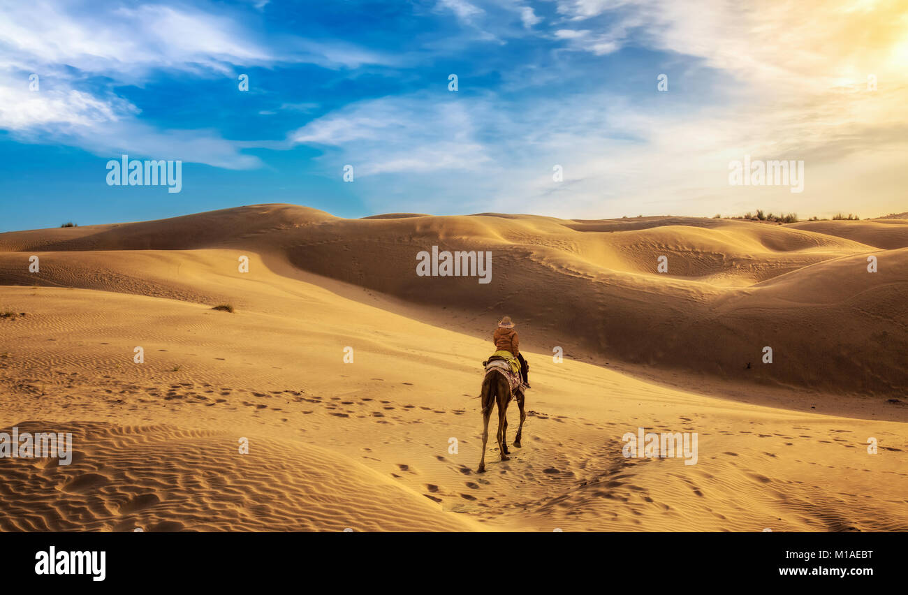 Camel desert safari at the sand dunes of Thar desert Jaisalmer, Rajasthan, India. Stock Photo