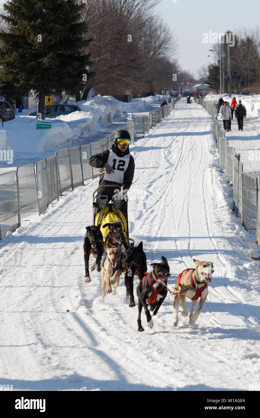 L'Epiphanie, Canada 1/28/2018 . The International Dog sled Race of Lanaudiere, Stock Photo