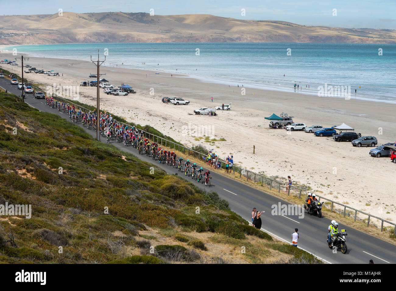 ADELAIDE, AUSTRALIA JANUARY 20 Peleton riding along the Esplande of Stage five from McLaren