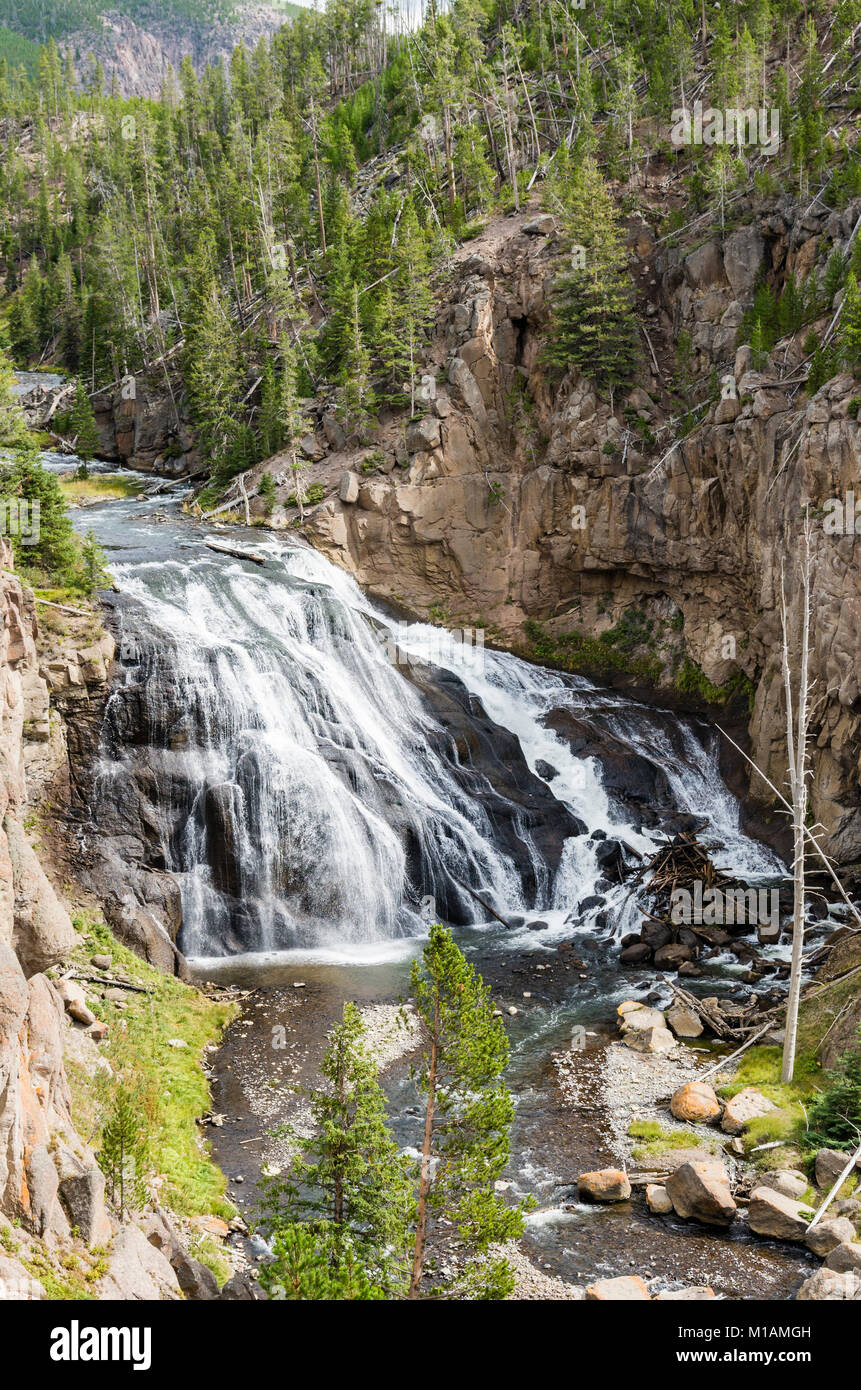 Gibbon Falls on the Gibbon River. Yellowstone National Park, Wyoming. Stock Photo