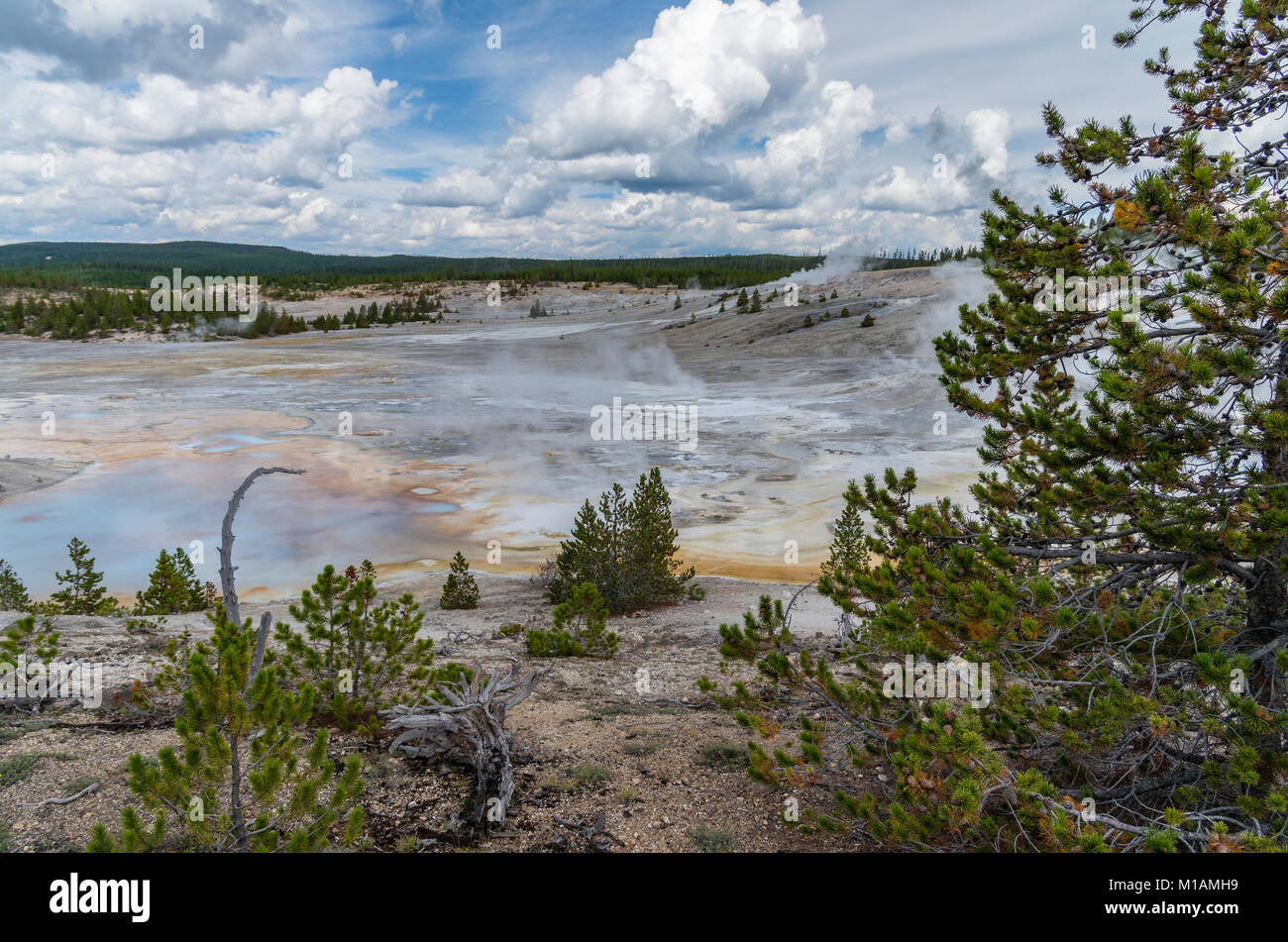 Steam and hot water flowing from the Porcelain Springs in Norris Geyser ...