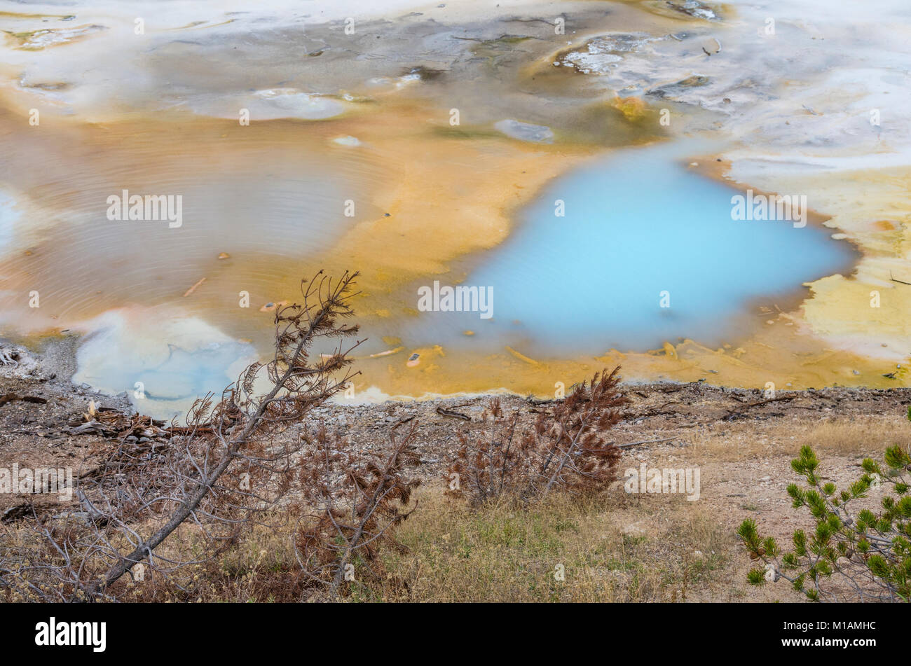 The milky blue pool of Porcelain Springs in the Norris Geyser Basin ...