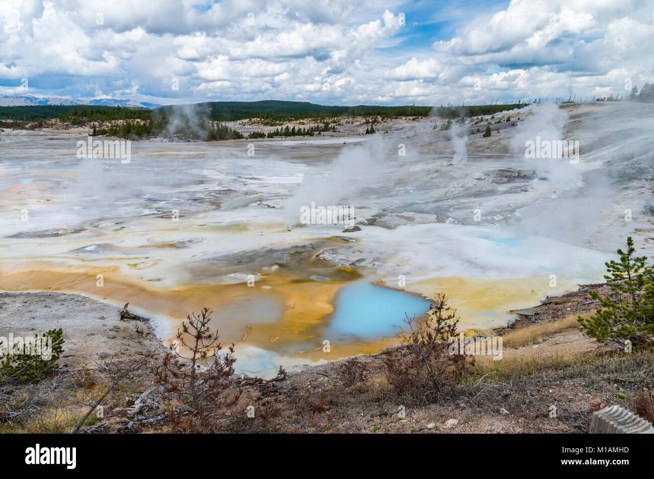 The milky blue pool of Porcelain Springs in the Norris Geyser Basin ...