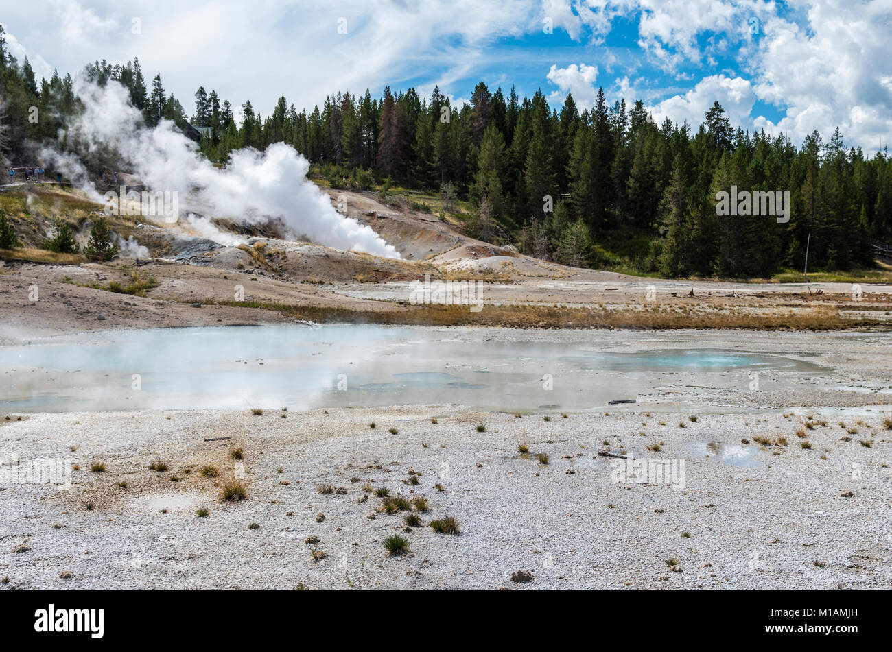 Geysers steaming in the Porcelain Basin area of the Norris Geyser Basin ...