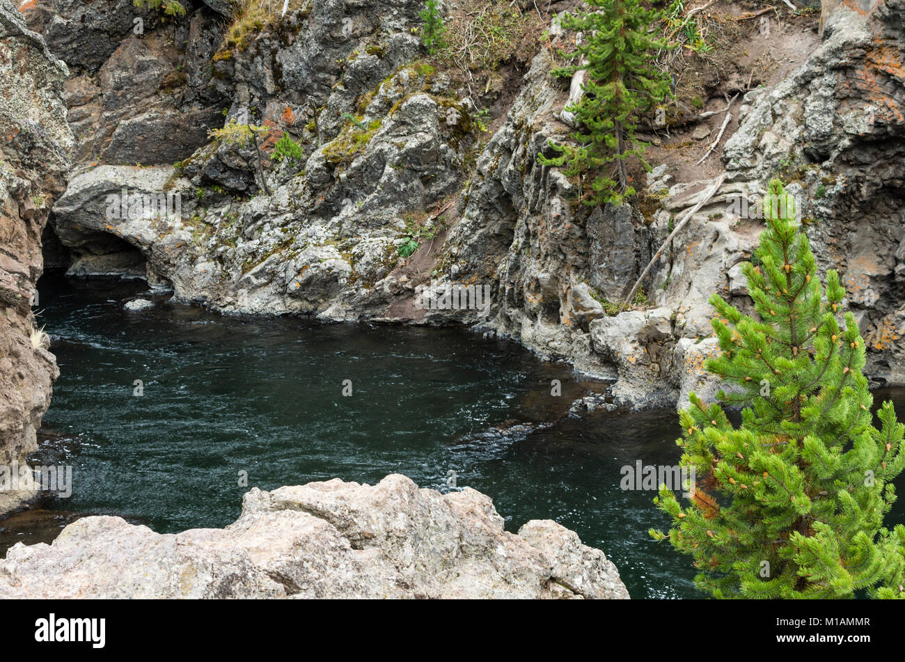 View of teh Firehole River in Yellowstone National Park, Wyoming USA Stock Photo