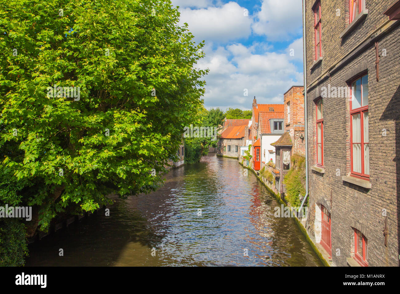 Small cozy water channel in Brugge along walls of historic houses. Sunny Bruges centre. Stock Photo