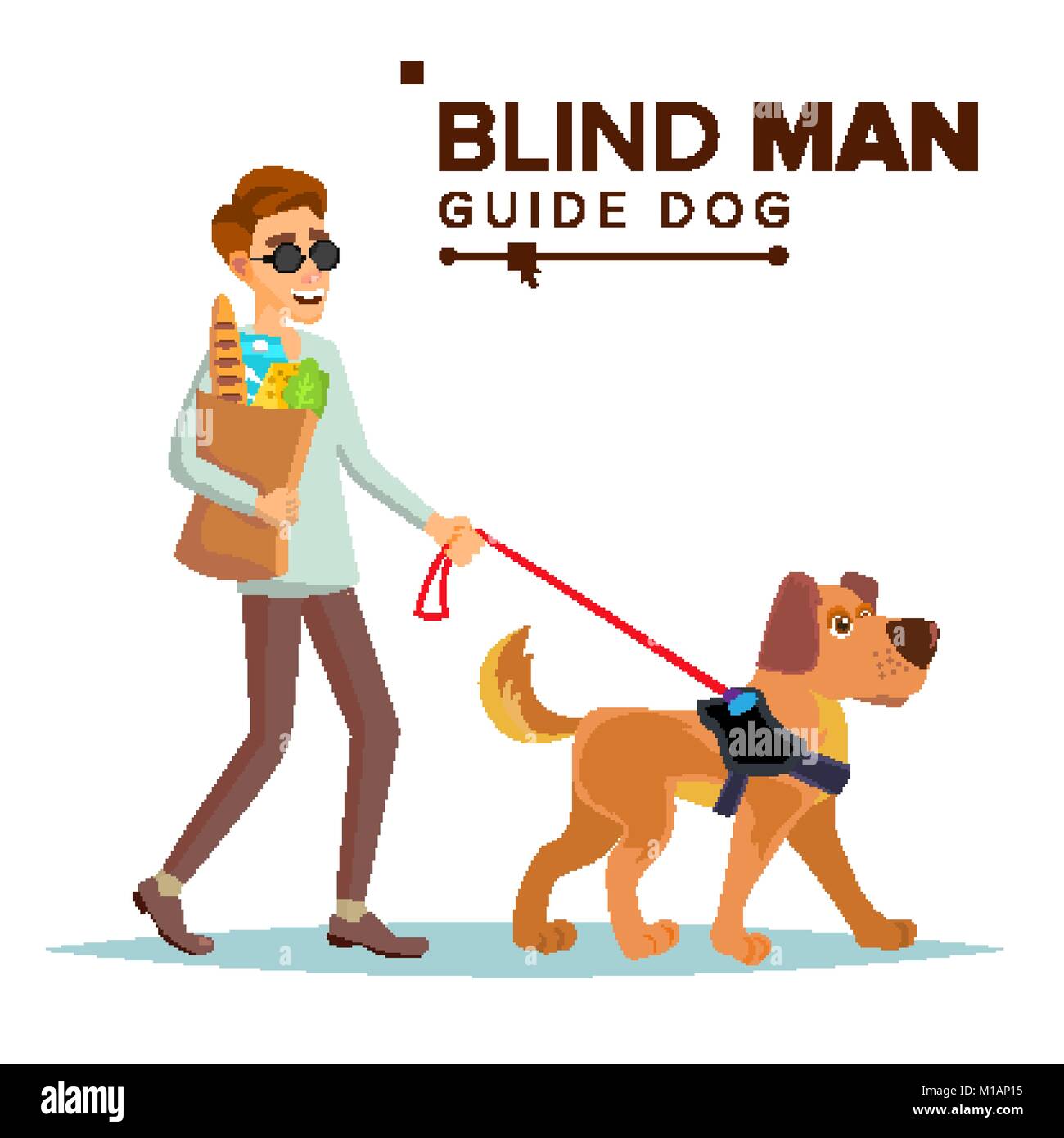 Can You Pet A Blind Persons Dog