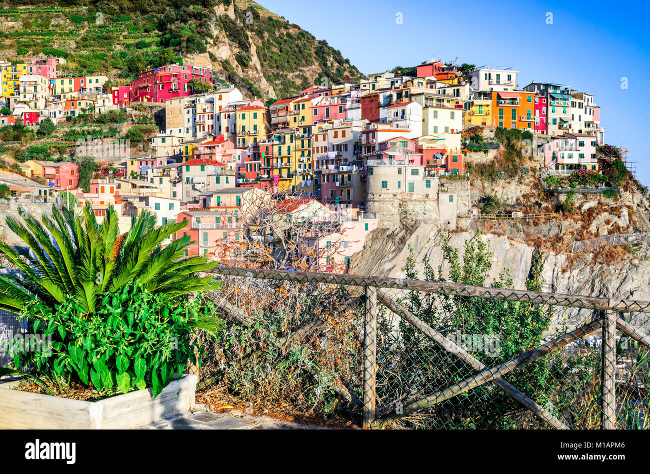 Manarola, Cinque Terre. Small town in province La Spezia, Liguria, northern Italy the second smallest of famous Cinque Terre. Stock Photo